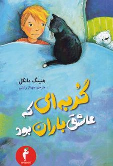 گربه ای که عاشق باران بود