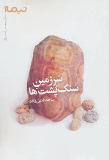 سرزمین سنگ پشت ها