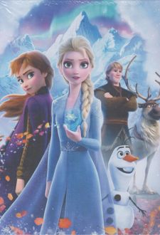 دفتر 100 برگ B5 سیمی کشدار طرح دار فانتزی میکرو (فروزن 3نفری)