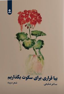 بیا قراری برای سکوت بگذاریم