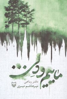 ماییم و دلی...