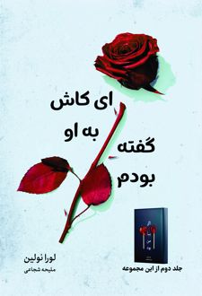 ای کاش به او گفته بودم