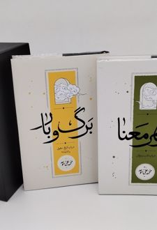 مجموعه جامع المقدمات