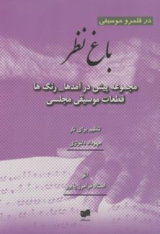 باغ نظر