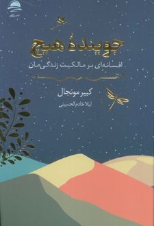 جوینده هیچ