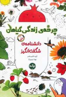 چرخه‌ی زندگی گیاهان