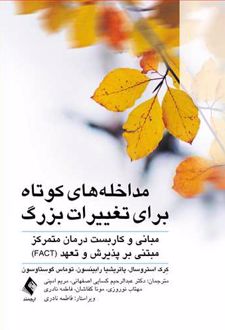 مداخله های کوتاه برای تغییرات بزرگ