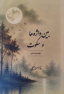 بین واژه‌ها و سکوت