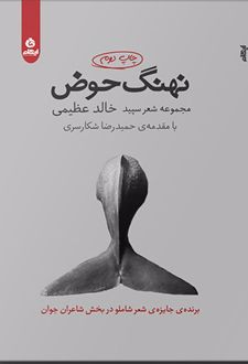 کتاب نهنگ حوض