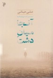 آن جا میان دشت