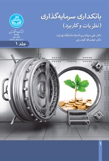بانکداری سرمایه گذاری (جلد اول)