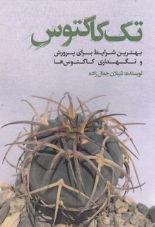 تک کاکتوس