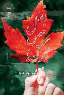 فصل خیس برگ‌ها