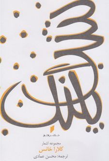 شب پلنگ