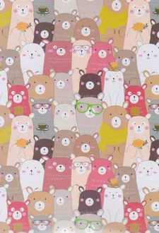 دفترکلاسوری 26 حلقه 100 برگ قفل فلزجلدسخت برگ سری راندو (خرسی)