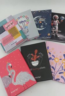 دفتر یادداشت 120 برگ 12*17 جلد سخت ته چسب میکرو (کاکتوس)