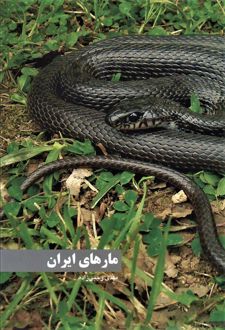 مارهای ایران