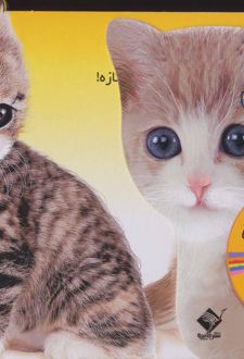 پیشی پیشی جان چه نازی