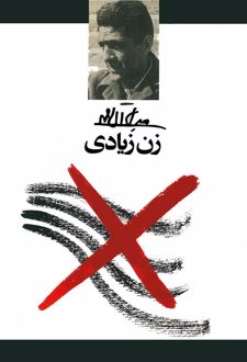 کتاب زن زیادی