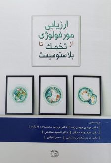 ارزیابی مورفولوژی از تخمک تا بلاستوسیست