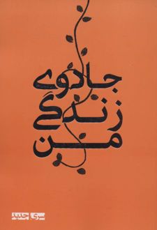 جادوی زندگی من