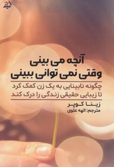 آنچه می بینی وقتی نمی توانی ببینی