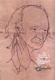 تاک کهنسال و خوشه های صبح
