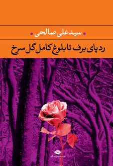 رد پای برف تا بلوغ کامل گل سرخ