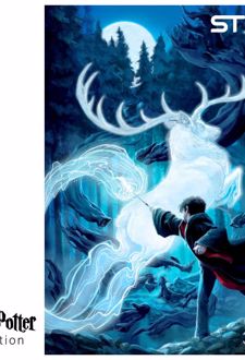 پازل شیشه‌ای استینو 1000 تکه طرح هری پاتر (کد 36106)