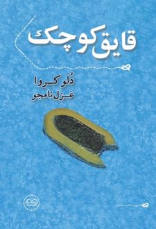 قایق کوچک