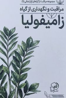 مراقبت و نگهداری از گیاه زامیفولیا