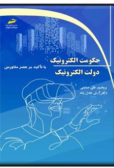 حکومت الکترونیک، دولت الکترونیک