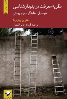 نظریه معرفت در پدیدار شناسی