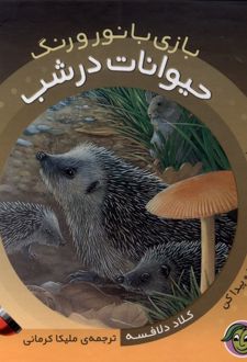 حیوانات در شب