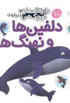 دلفین‌ها و نهنگ‌ها