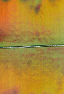 دفتر یادداشت