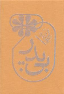 بی پدر