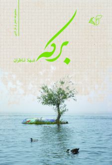برکه