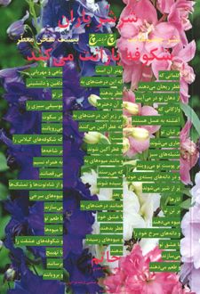 شرشر باران شکوفه بارانت می‌کند