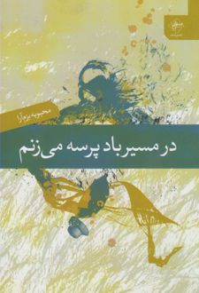 در مسیر باد پرسه می زنم