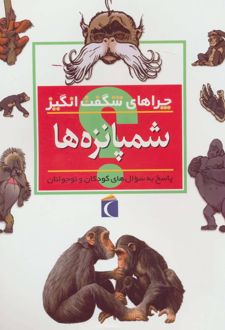شمپانزه ها