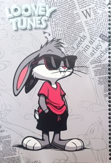 دفتر 100 برگ جلد‌سخت سیمی سری‌تونیورس (الند) خرگوش