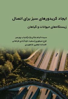 ایجاد کریدورهای سبز برای اتصال