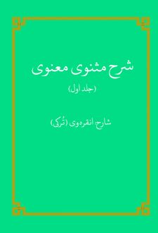 کتاب شرح مثنوی معنوی (جلد اول)