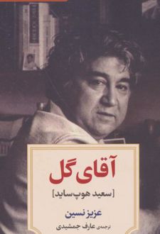 آقای گل