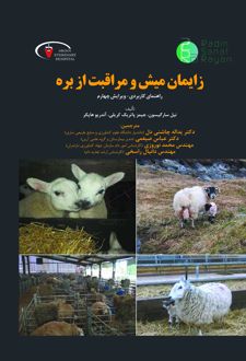 زایمان میش و مراقبت از بره