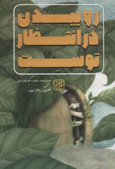 روییدن در انتظار توست