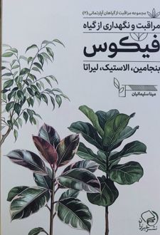 مراقبت و نگهداری از گیاه فیکوس
