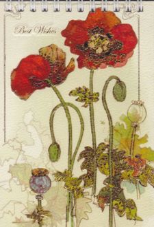دفترچه یادداشت خط دار (کارن)