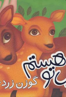 مواظب تو هستم